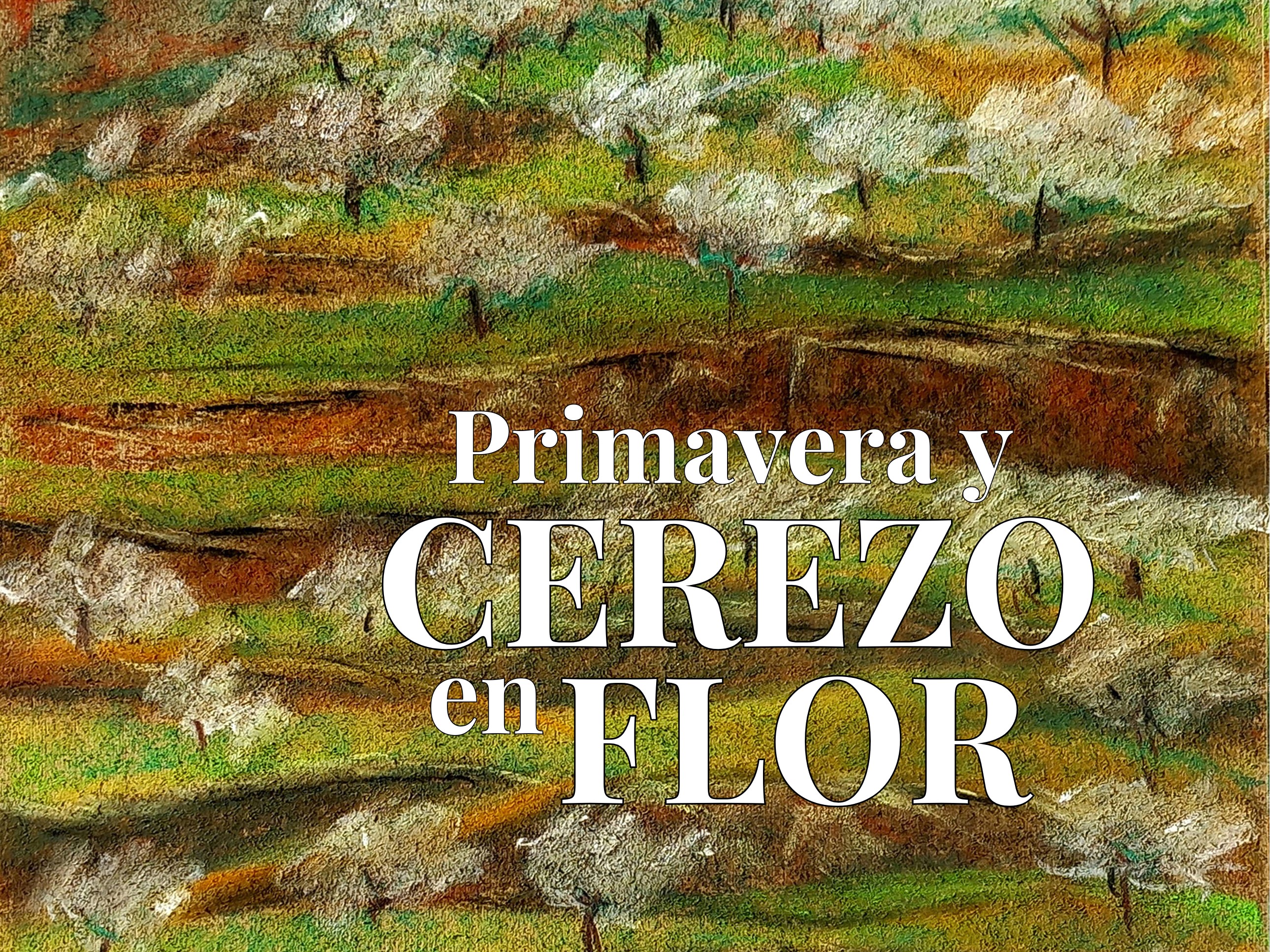 Cerezo en Flor 2025