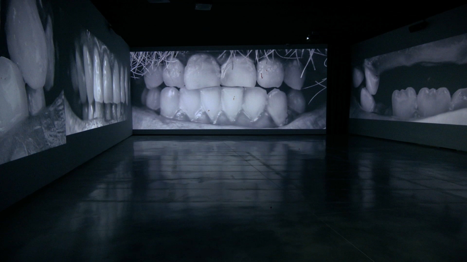Exposición de Santiago Sierra en el Museo Helga de Alvear