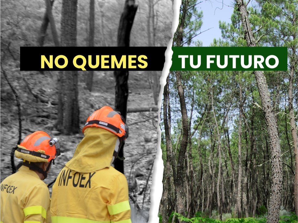 Campaña del INFOEX