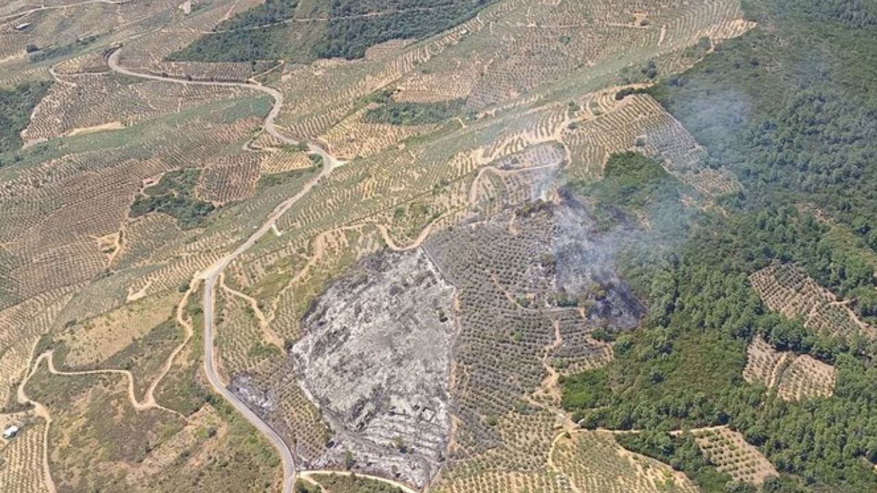 Estabilizado el incendio forestal en Mohedas de Granadilla