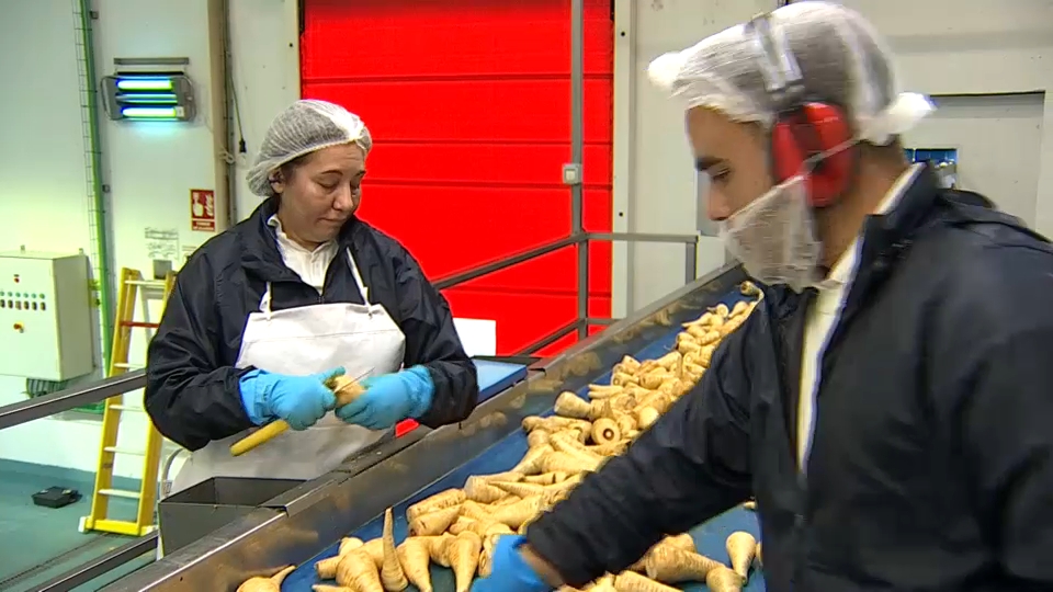 La Junta destaca que en los dos últimos años se han aprobado 155 planes de igualdad laboral, un 122% más