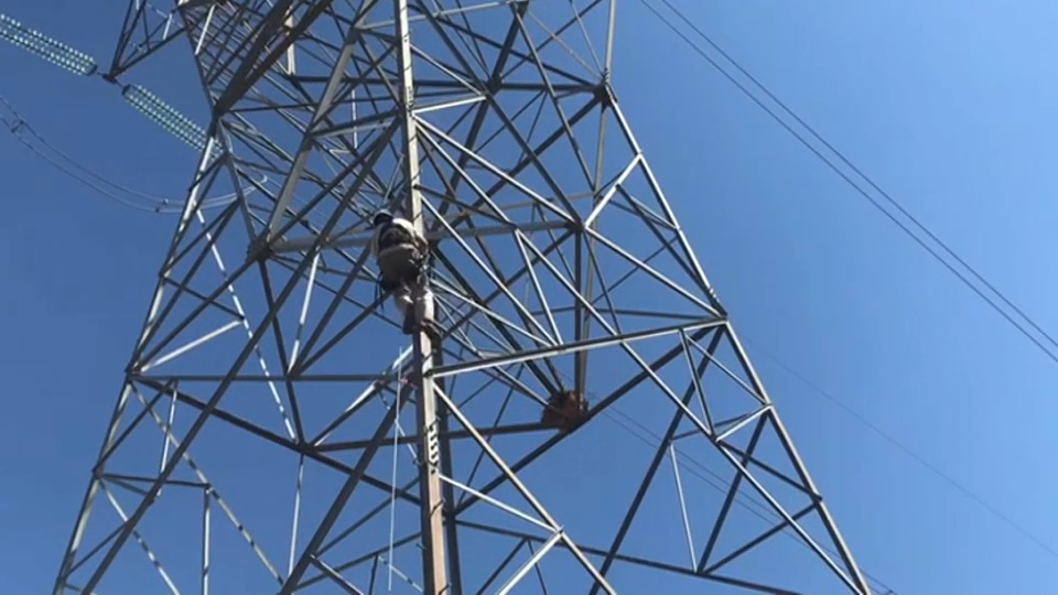 SEO/BirdLife pide colaboración para evaluar impacto en aves del tendido eléctrico en puntos de la Red Natura