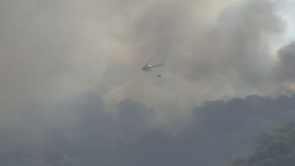 Activado el Nivel 1 del Plan INFOEX por incendio en Escurial
