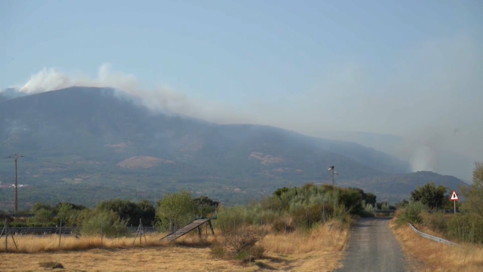 Las BRIF de MITECO ayudan en las labores de extinción en once incendios en cinco provincias, dos de ellos en Cáceres