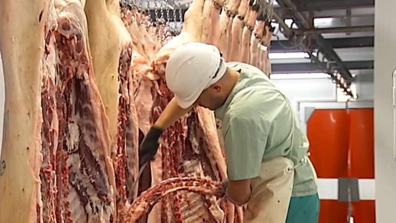 Carne de cerdo fresca