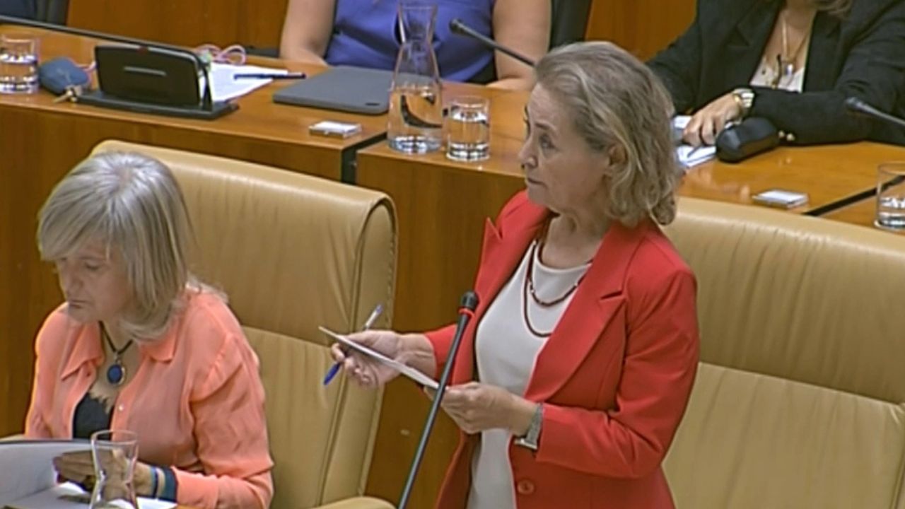 Mercedes Vaquera, consejera de Educación de la Junta de Extremadura, durante su intervención este jueves en la Asamblea de Extremadura