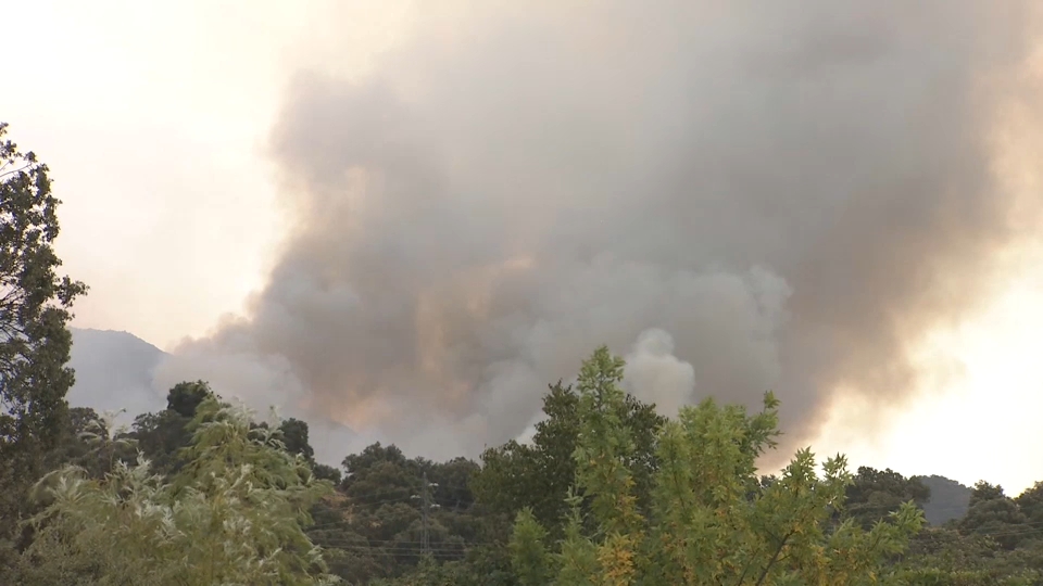 Disconformidad por las ayudas tras los incendios