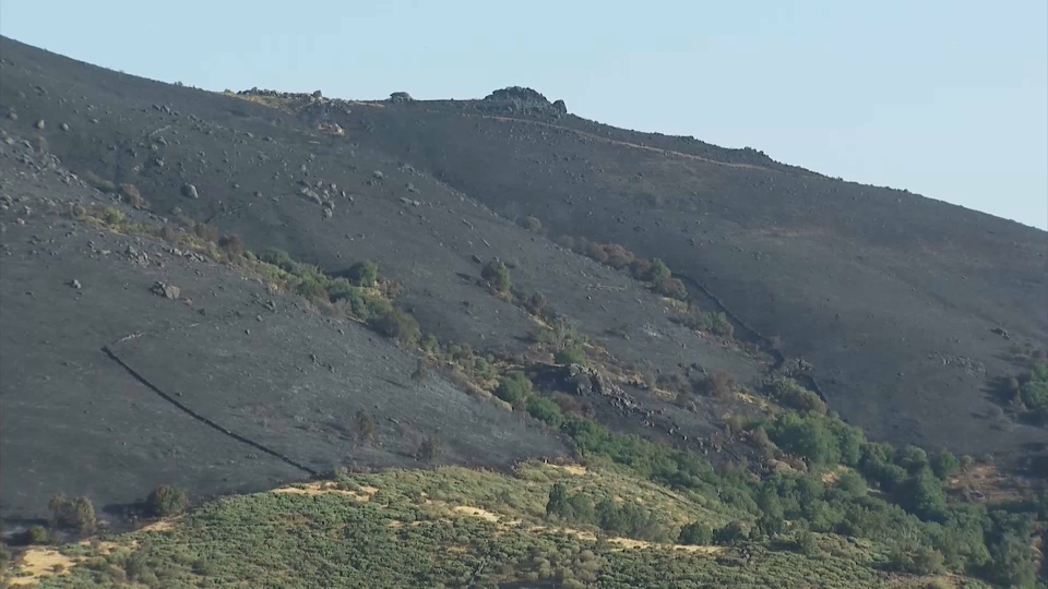 Paisaje tras un incendio en Extremadura