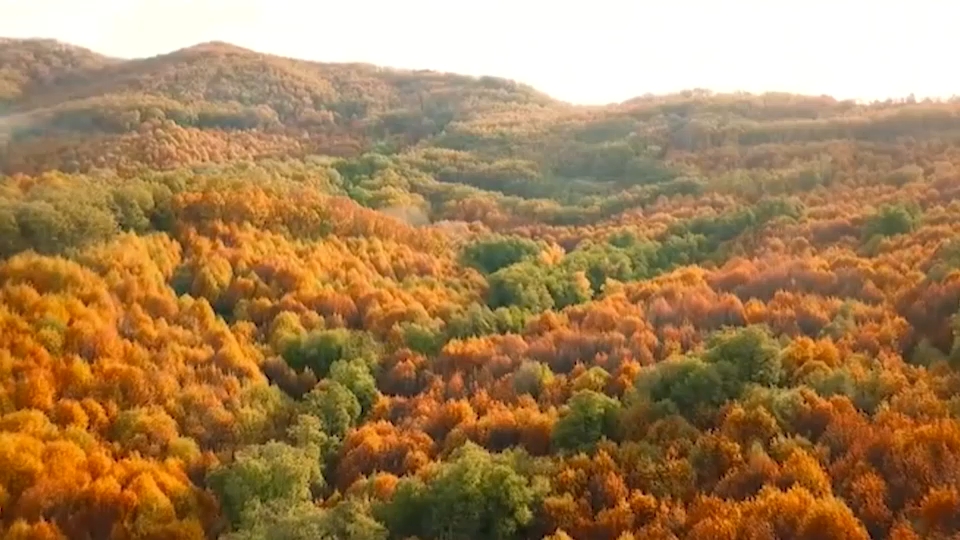 Vista aérea del Valle del Ambroz
