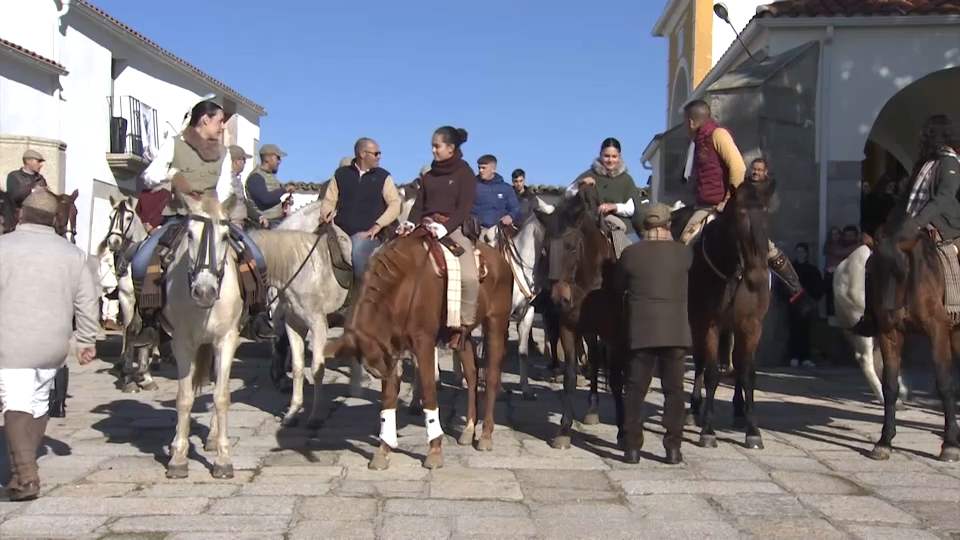 Caballos durante la Fiesta de 'La Borrasca' en Ceclavín