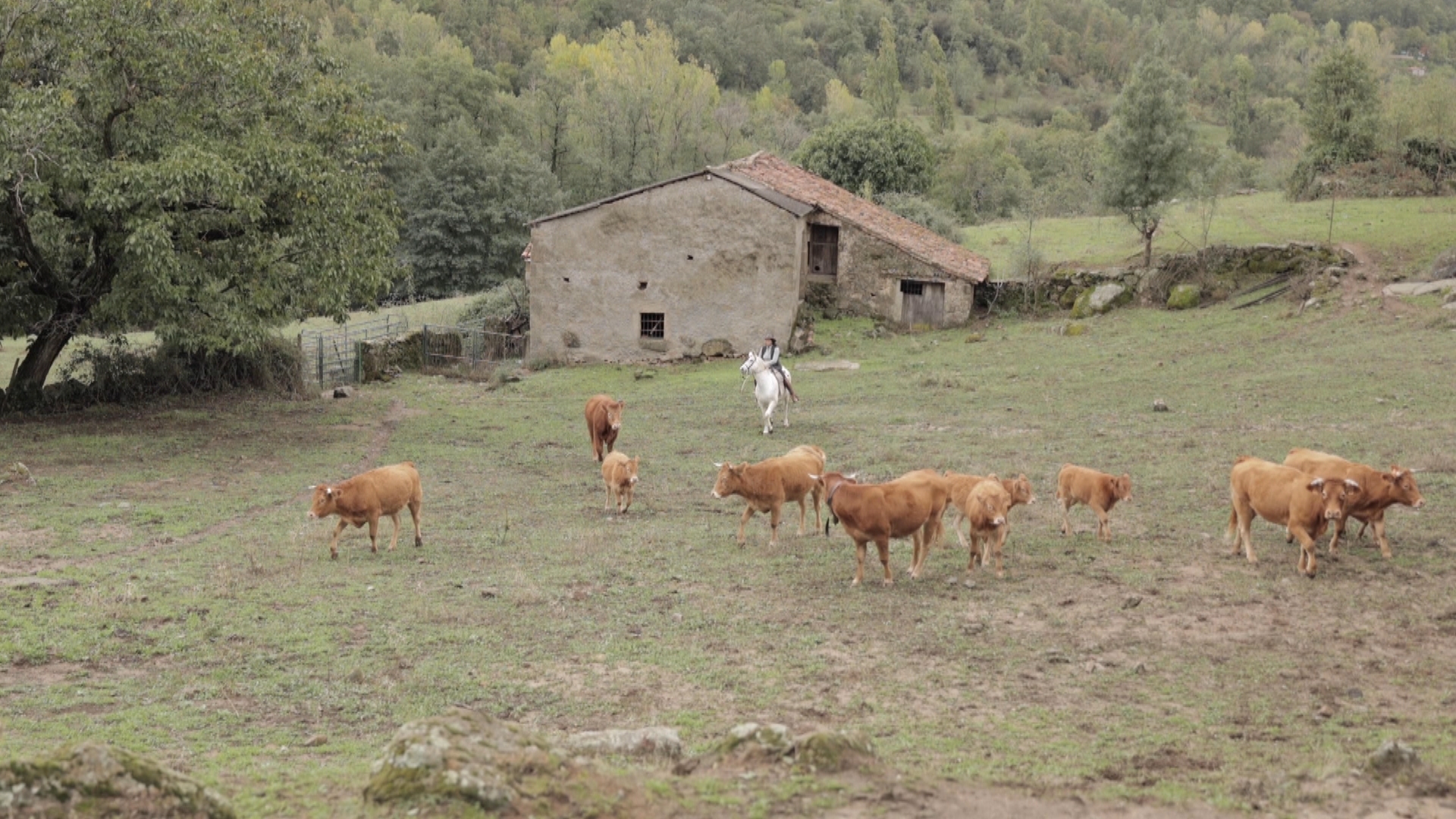 El campo es vida: Episodio 170 | Canal Extremadura
