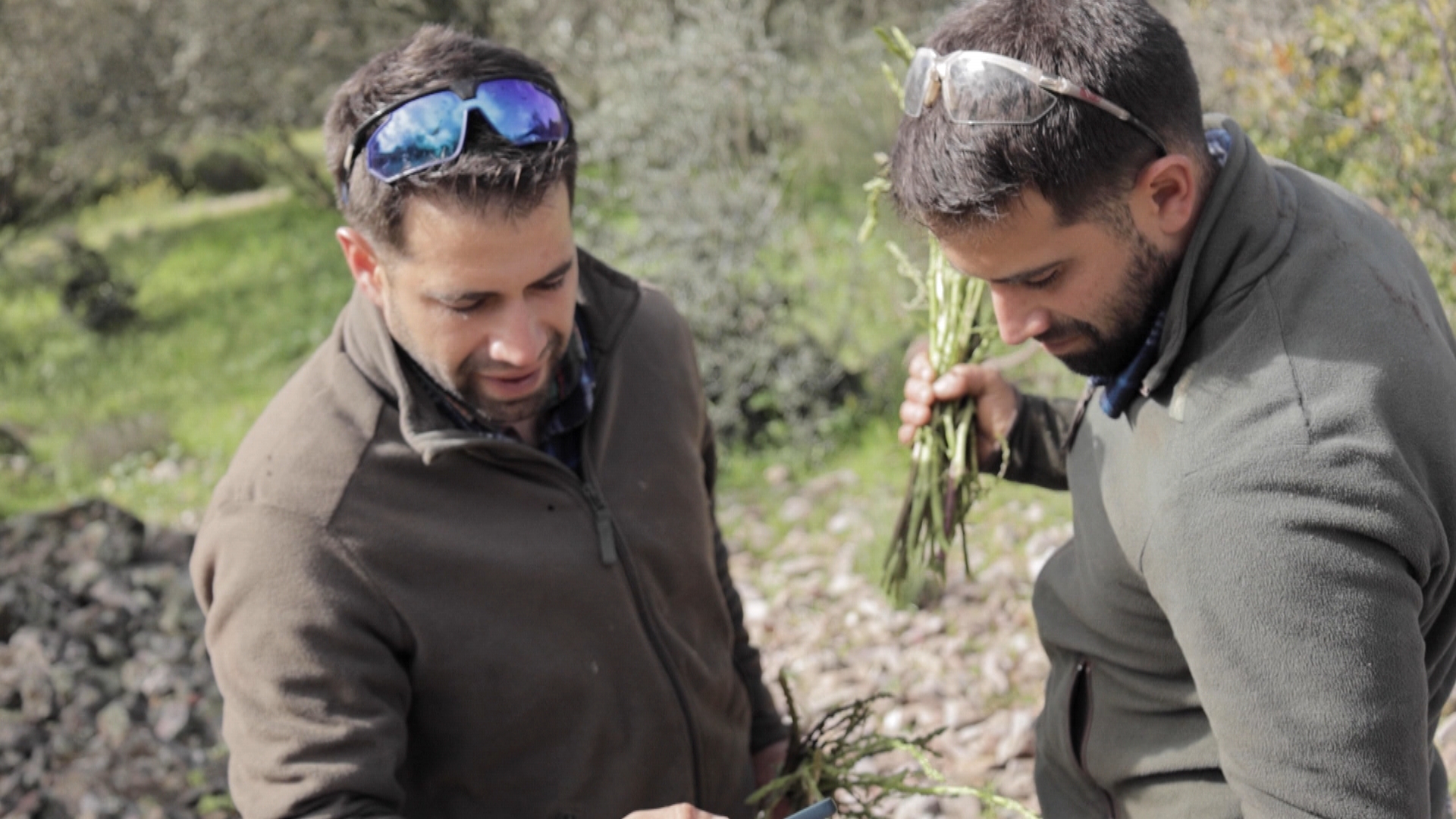 El campo es vida: Episodio 213 | Canal Extremadura