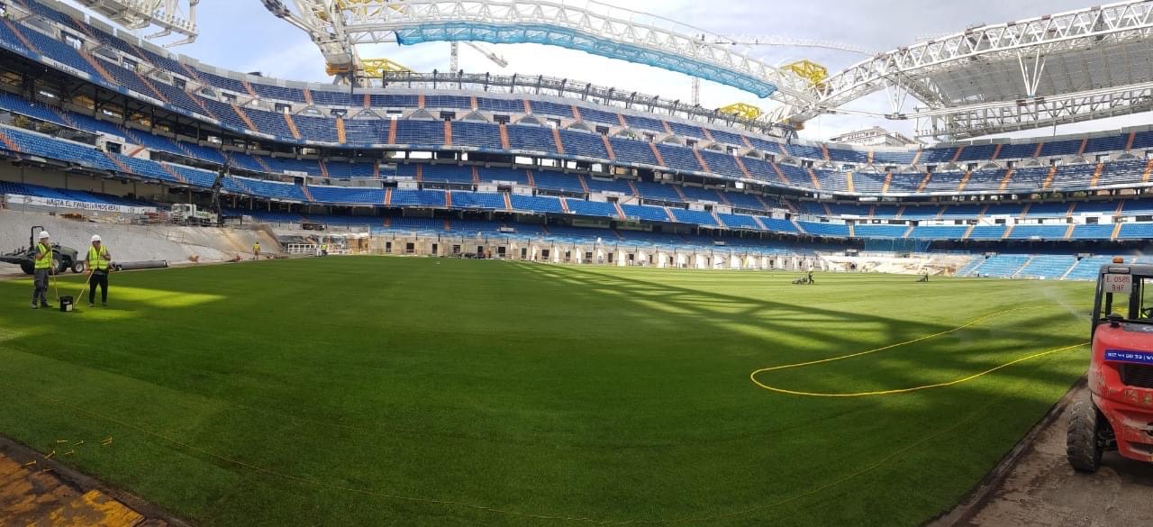 Césped Bernabeu