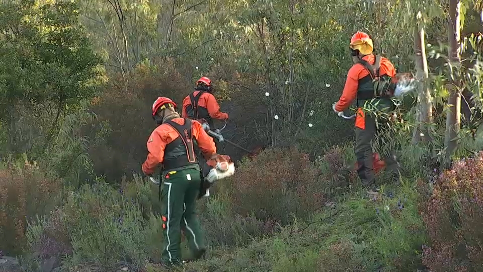 Extremadura desbrozará más de 2.000 hectáreas para prevenir incendios