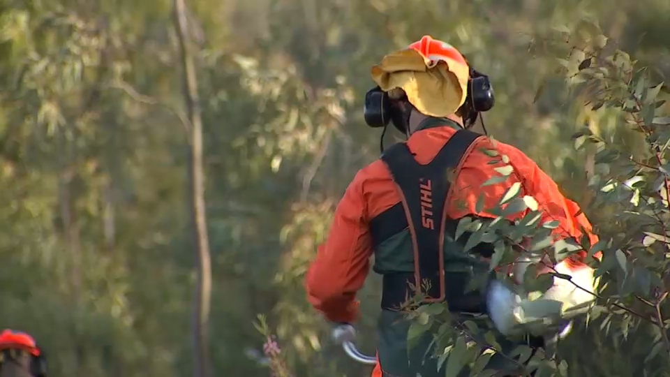Extremadura desbrozará más de 2.000 hectáreas para prevenir incendios