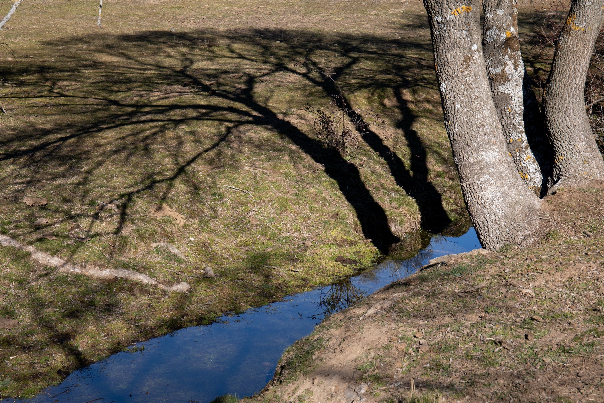 Rafael Bastante / Europa Press