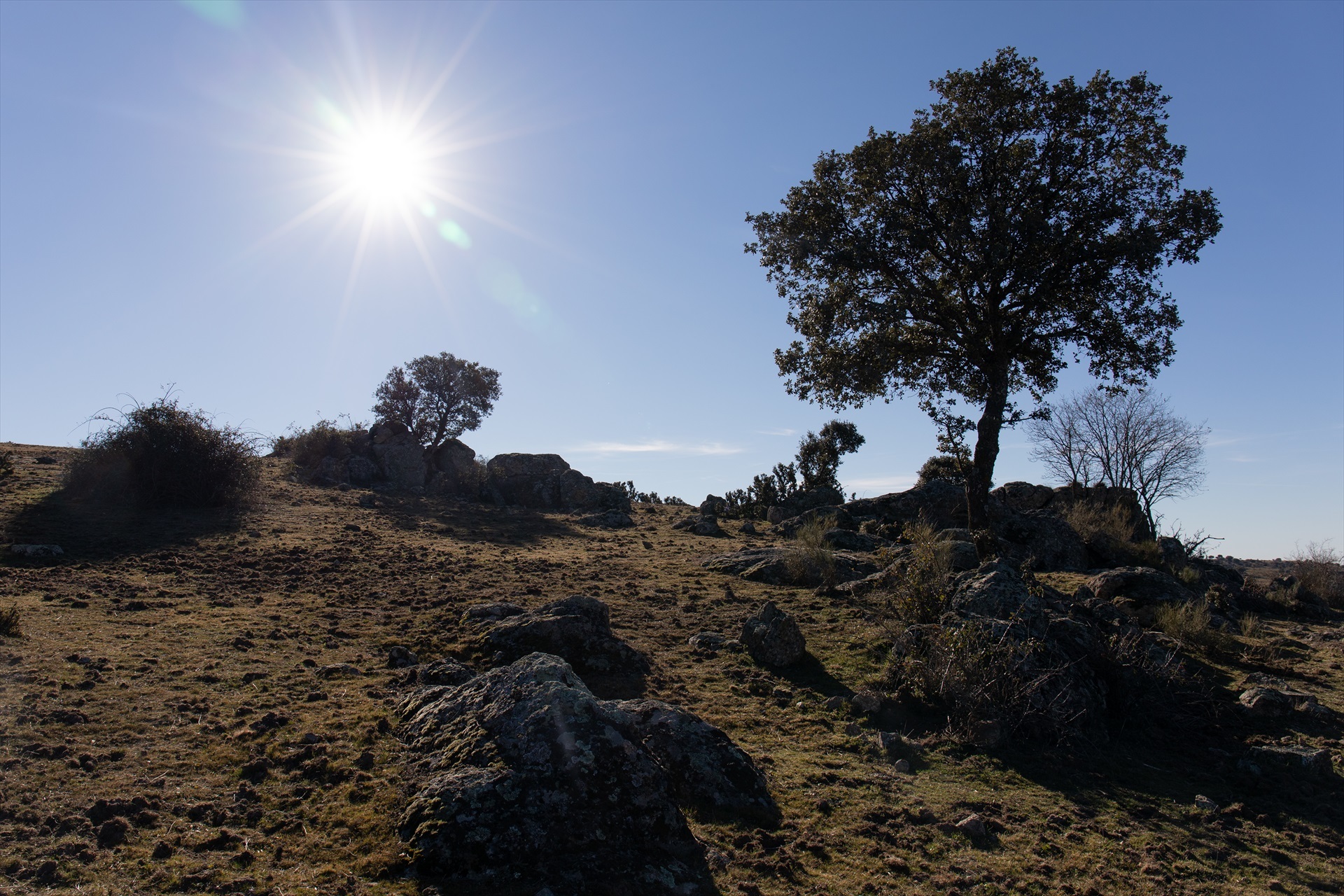 Rafael Bastante / Europa Press