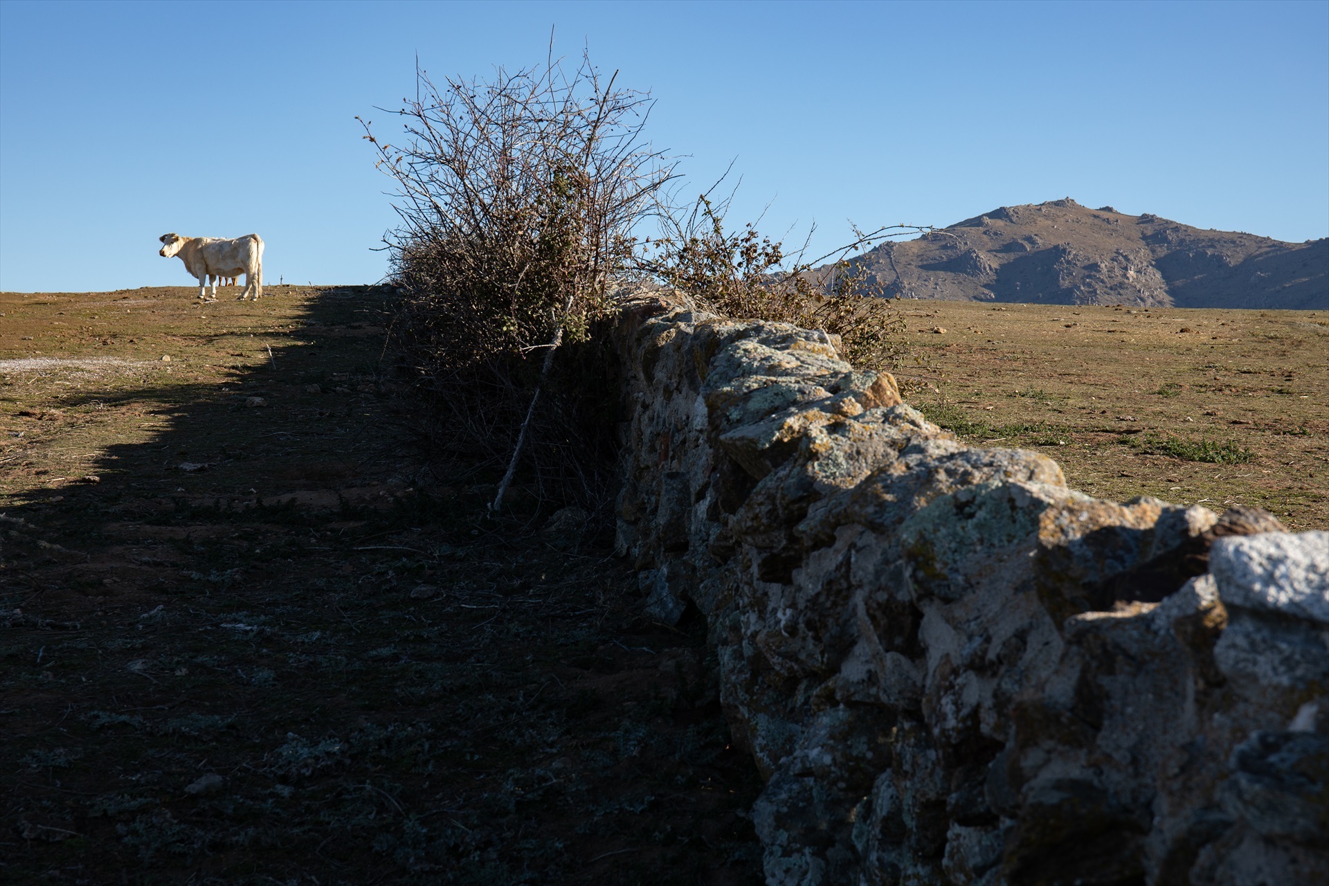 Rafael Bastante / Europa Press