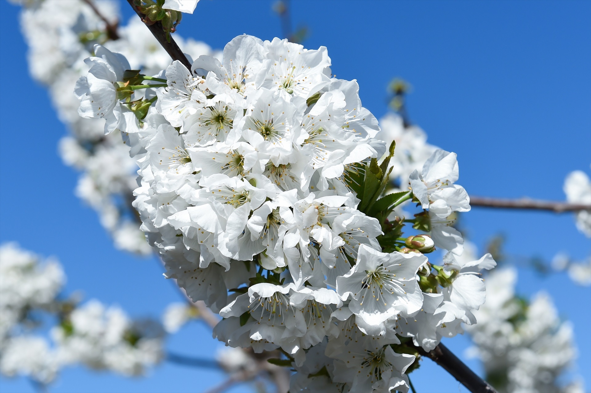 Gustavo Valiente / Europa Press