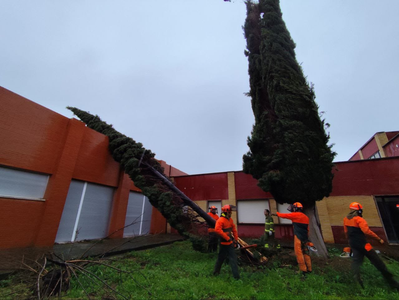 JUNTA DE EXTREMADURA