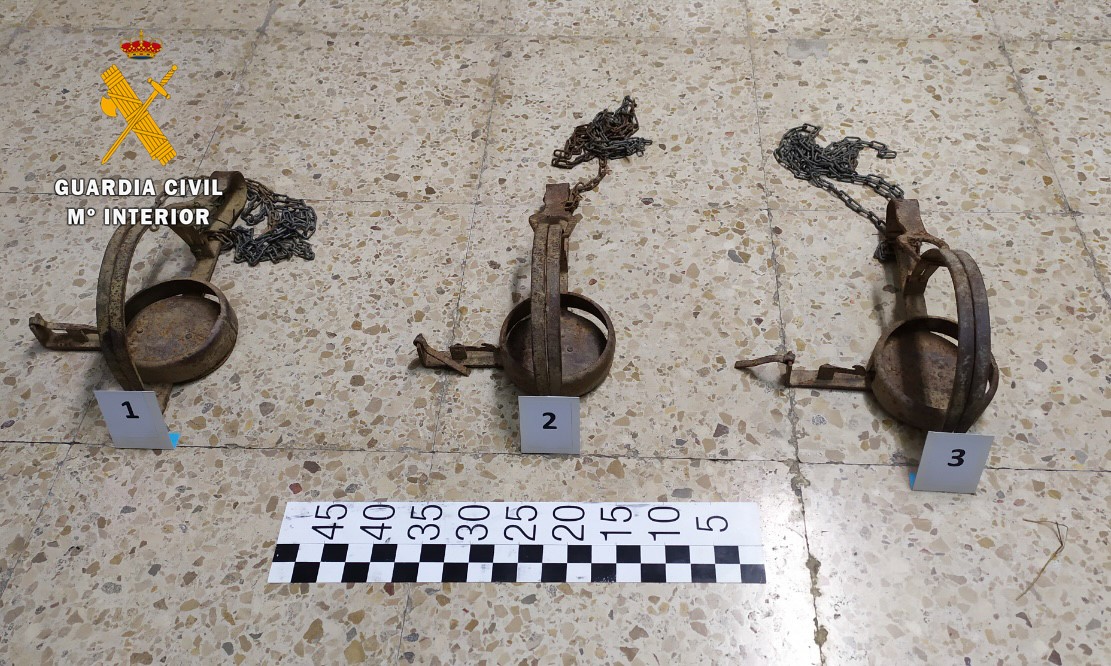 Cepos utilizados para matar animales en Carbajo