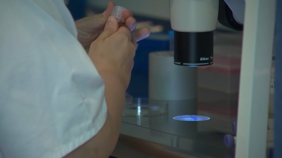 El Ministerio de Ciencia financiará con más de 810.000 euros seis proyectos extremeños de colaboración internacional