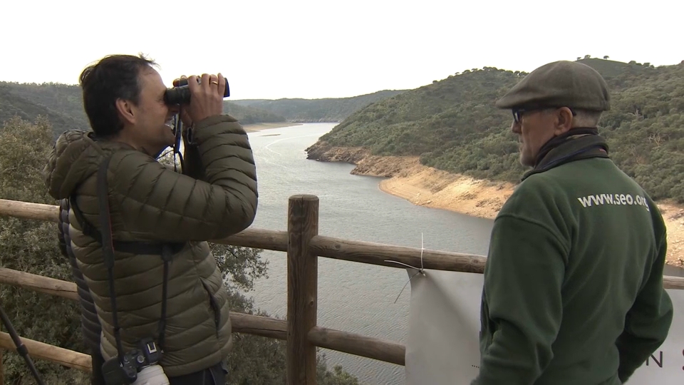 Monfragüe, Doñana y Picos de Europa, mejores lugares donde observar aves en primavera según SEO/BirdLif