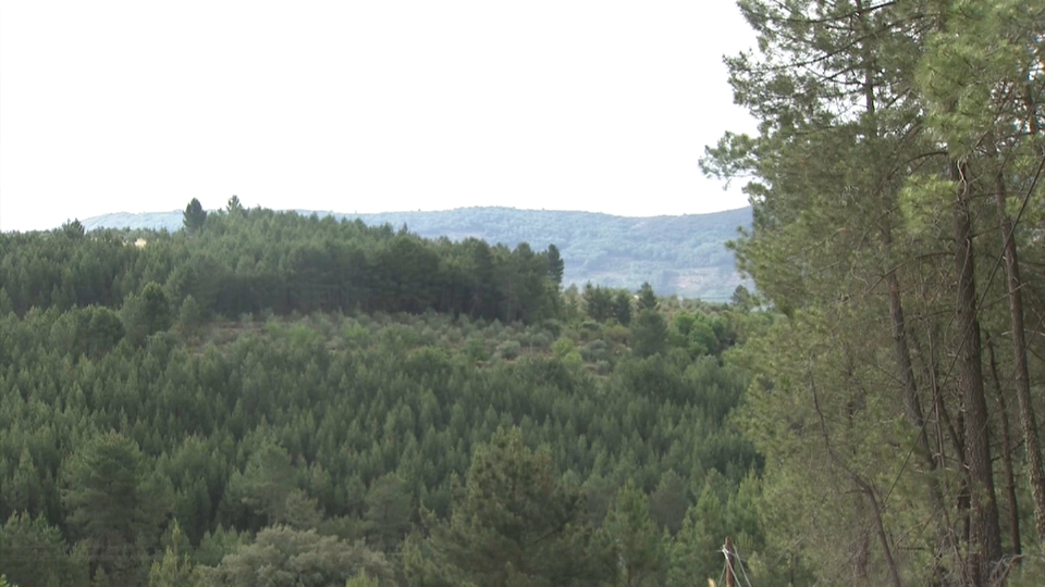 La Torta del Casar invita a descubrir el patrimonio cacereño con cinco rutas que recorren la provincia