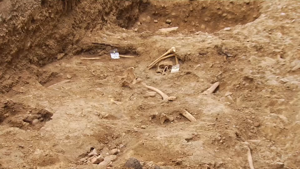  se han descubierto diez cuerpos con impactos de bala en los cráneos