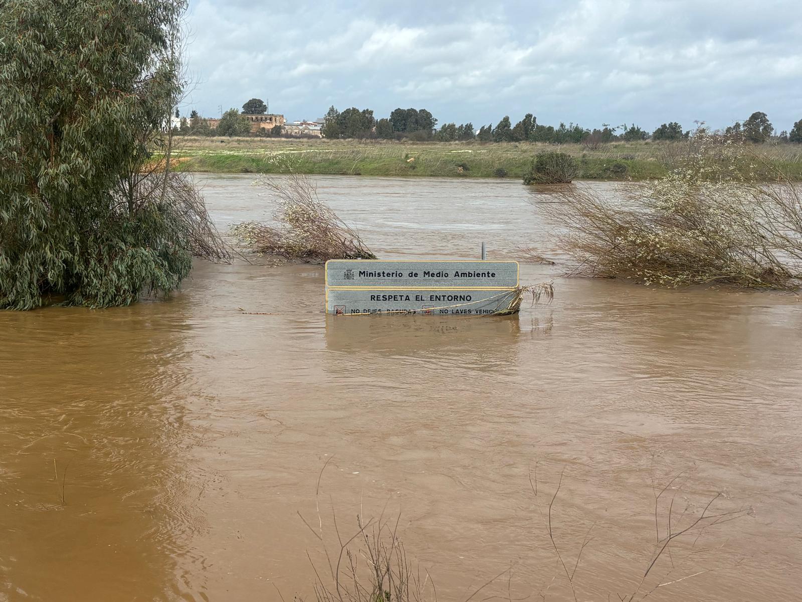 Imagen: Delia Martín Barbero