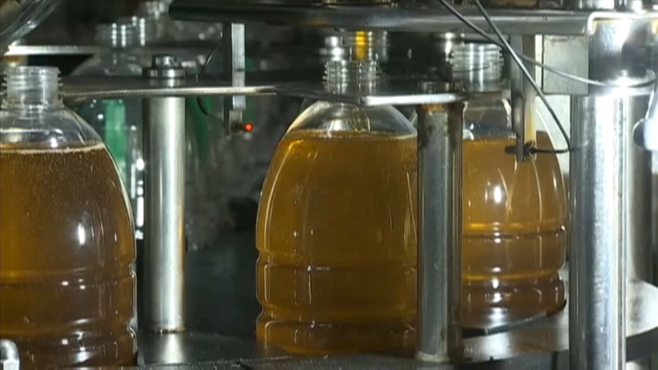 envasado de aceite de oliva