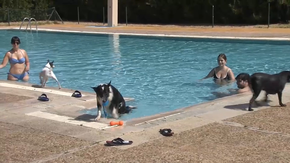 Patas al agua