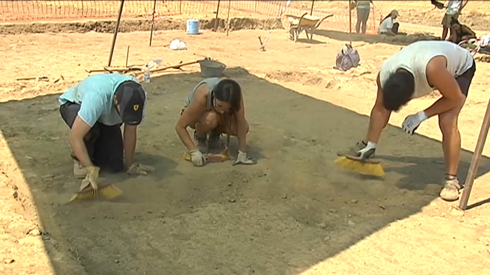 Cursos de arqueología