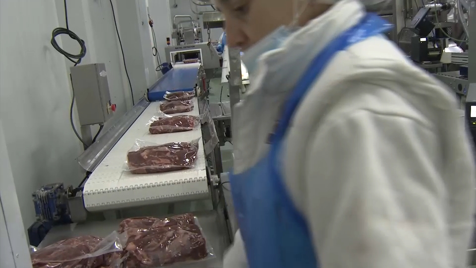 Carne de caza