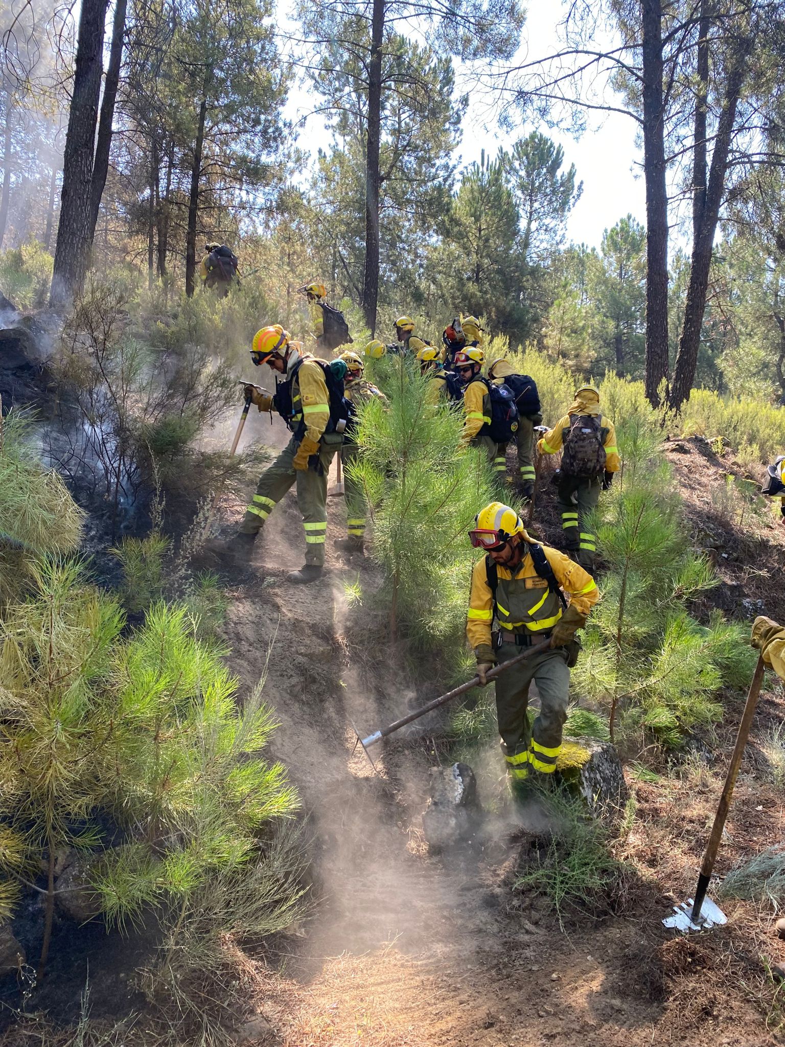 Fuego extinguido en La Vera