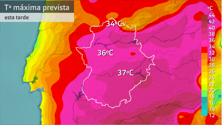 maximas previstas 10 agosto