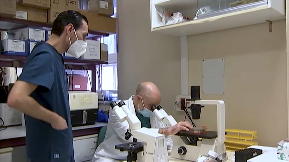 Equipo de investigación del hospital San Pedro de Alcántara