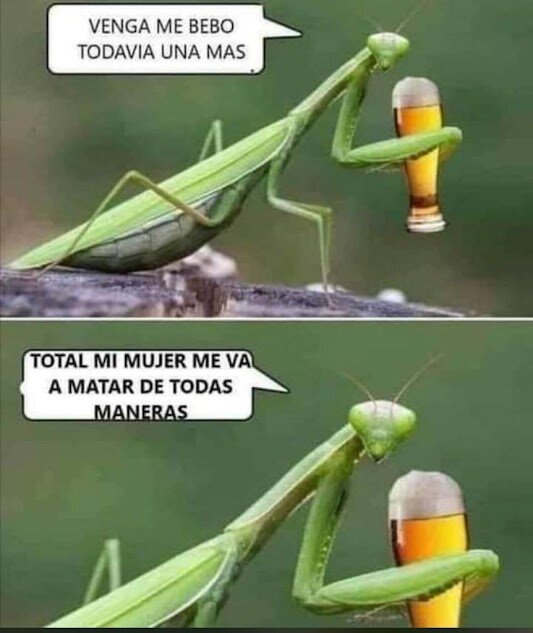 Meme reflejado en el 'Machitest'