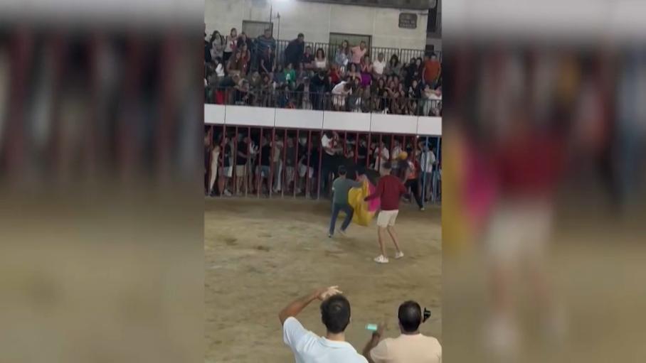 Momento de la cogida en los encierros de Moraleja.