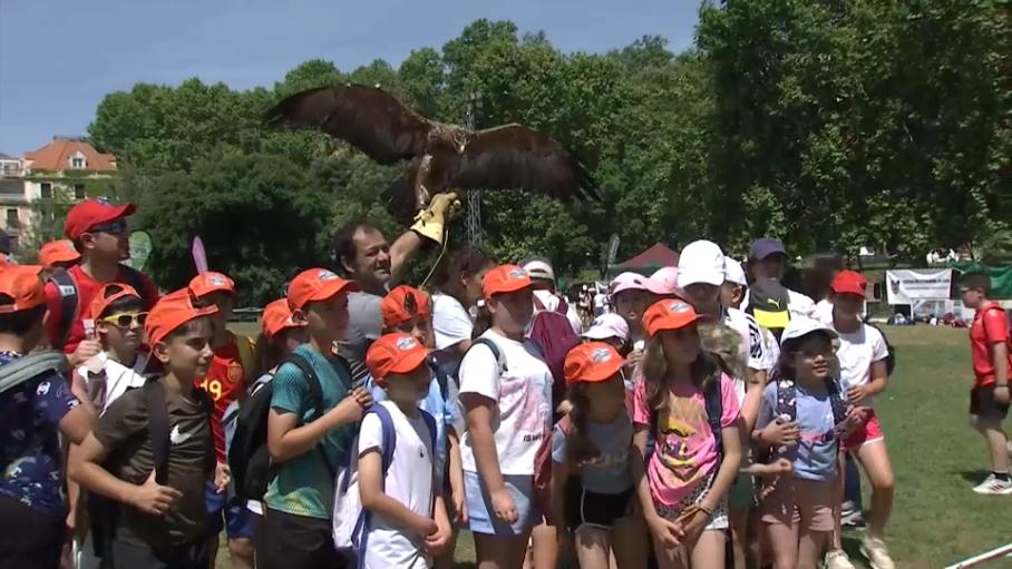 El Encuentro Escolar del Proyecto Proades 'Caza y Naturaleza' reúne en Alange a más de 500 alumnos y profesores