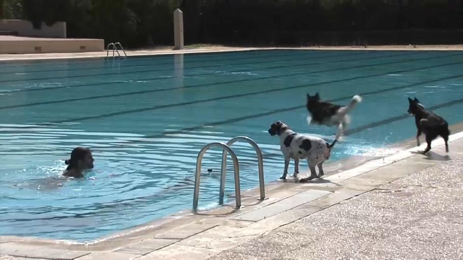 'Patas al agua', edición de 2024