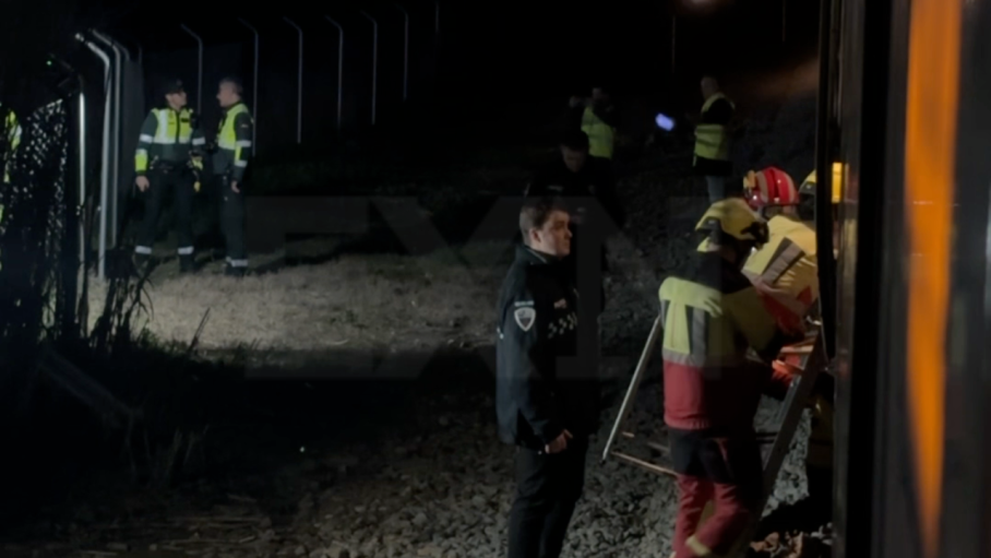 Un hombre ha fallecido tras ser arrollado el vehículo en el que viajaba por el tren Alvia