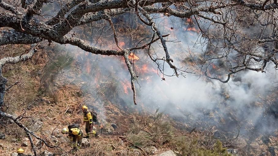 Bomberos trabajando en la extinción del incendio forestal de Losar de la Vera