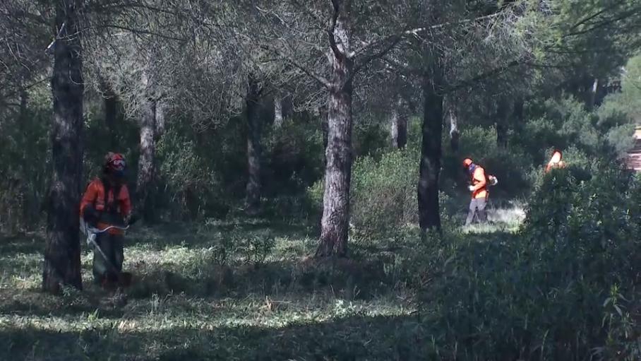 Técnicos del Plan Infoex realizando labores de prevención de incendios