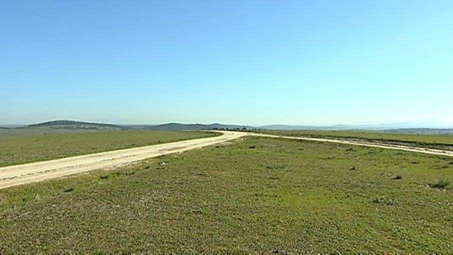 Terrenos donde se instalará la planta fotovoltaica de Ceclavín