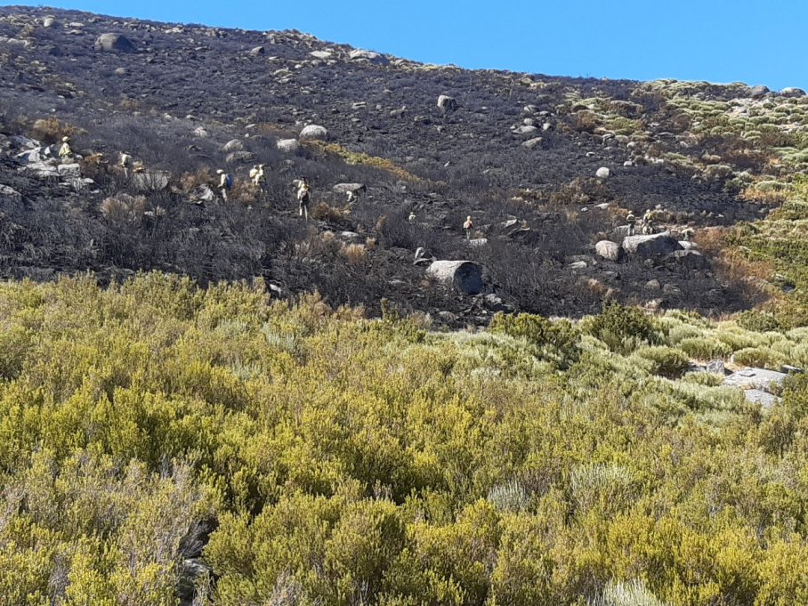Imágenes de la superficie quemada por el incendio