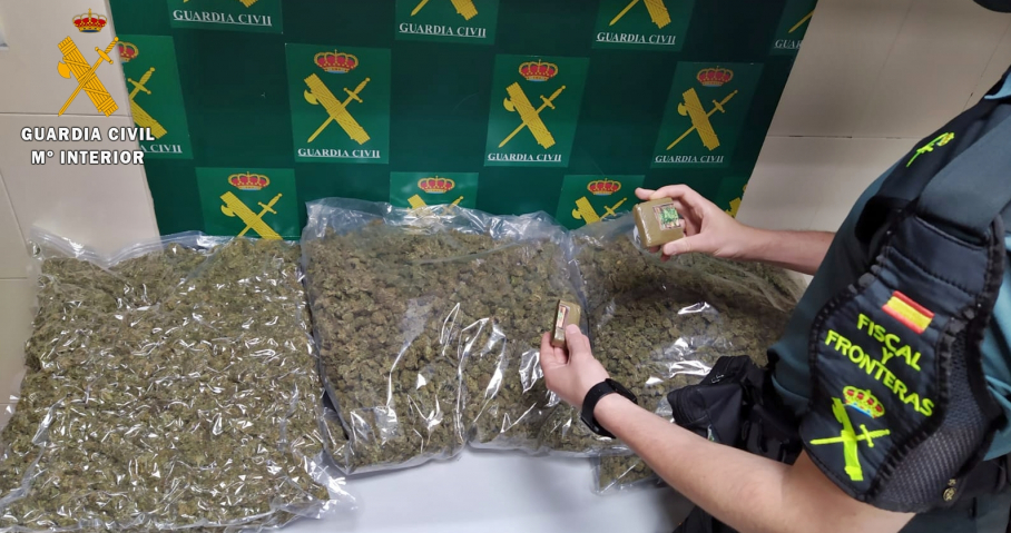 Cogollos de marihuana incautados por la Guardia Civil