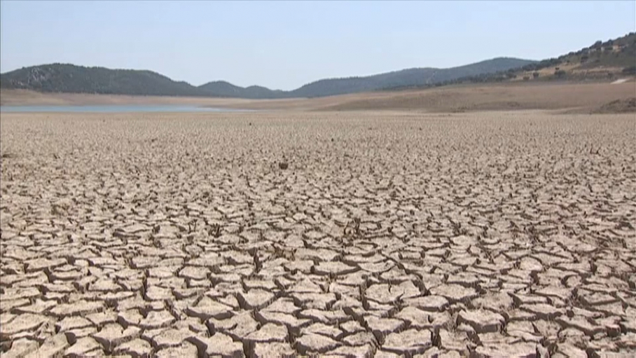 Imagen del embalse del Cíjara a mediados de agosto