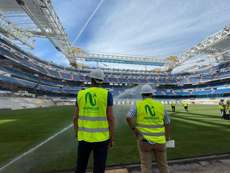 Césped extremeño para el Bernabeu
