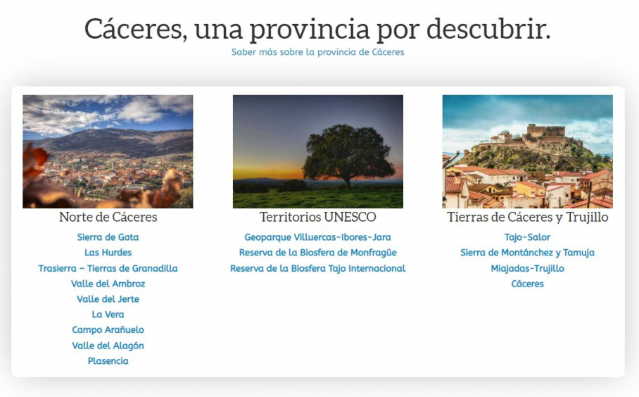 Web con la promoción de bonos turísticos